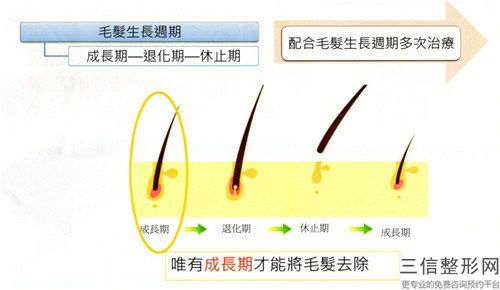 沧州市哪家整形医院治疗遗传脱发做的比较好-沧州庞大夫医疗美容整形诊所是权威专家上榜